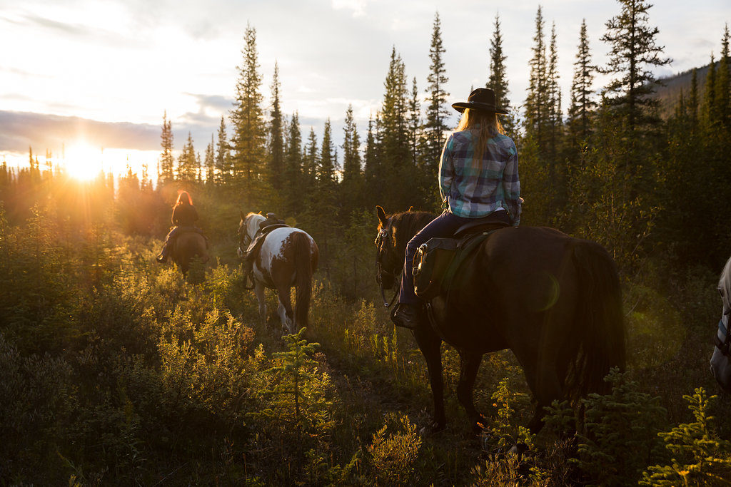 Exploring the Muskwa-Kechika Wilderness in Northern BC 1