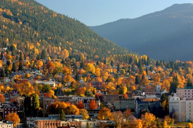 Trees with fall colours on the mountains in Nelson