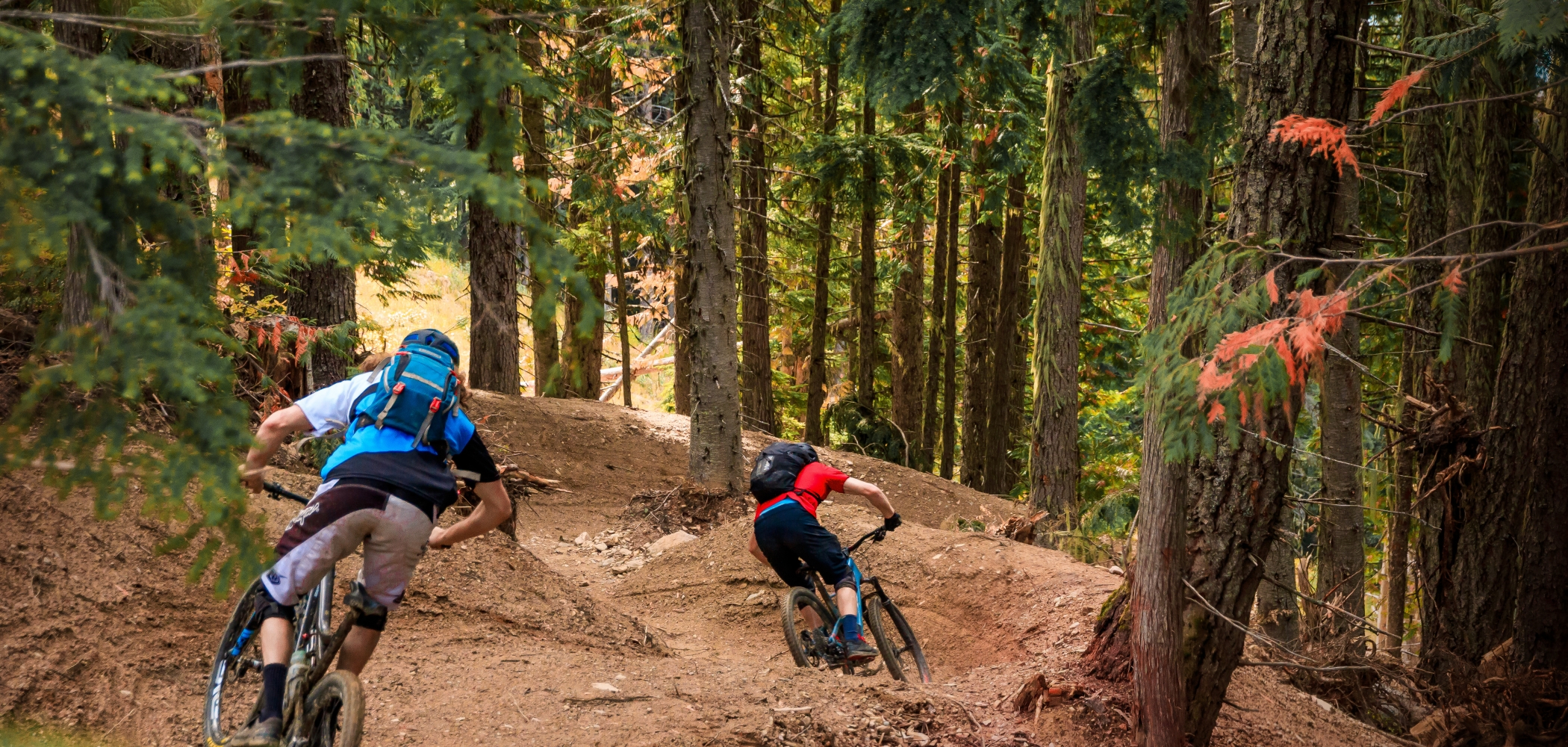 Riding the loam in Revelstoke Mountain Resort 