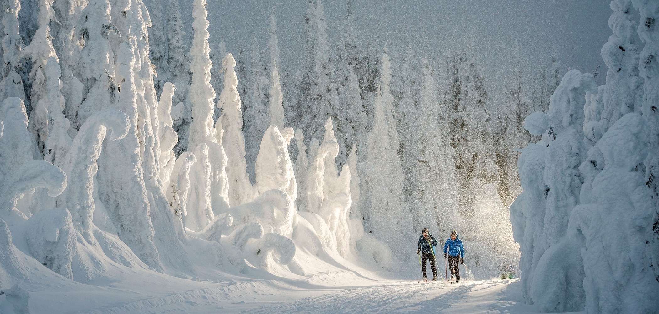 Cross-country Skiing in BC Canada