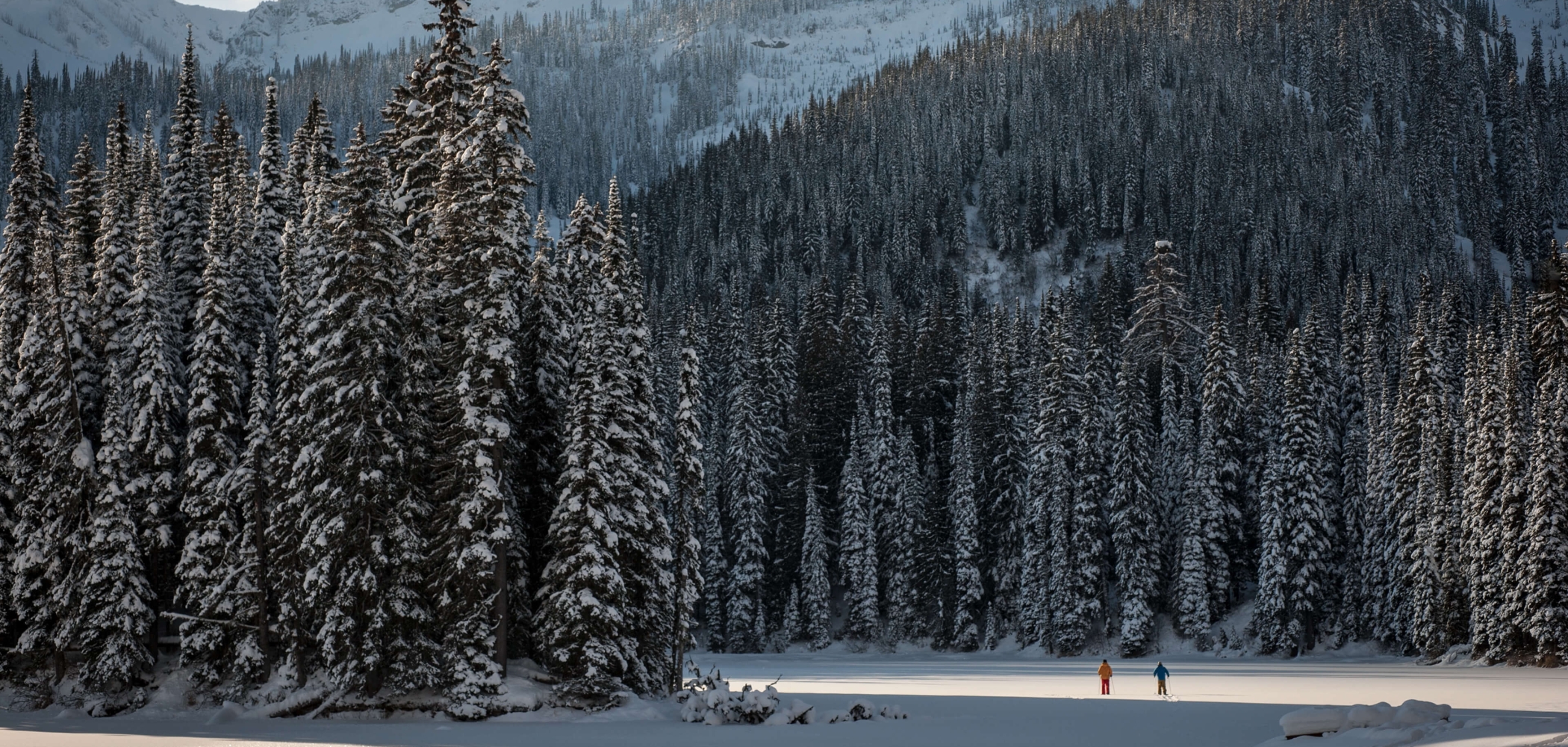 Winter Activities in BC Canada