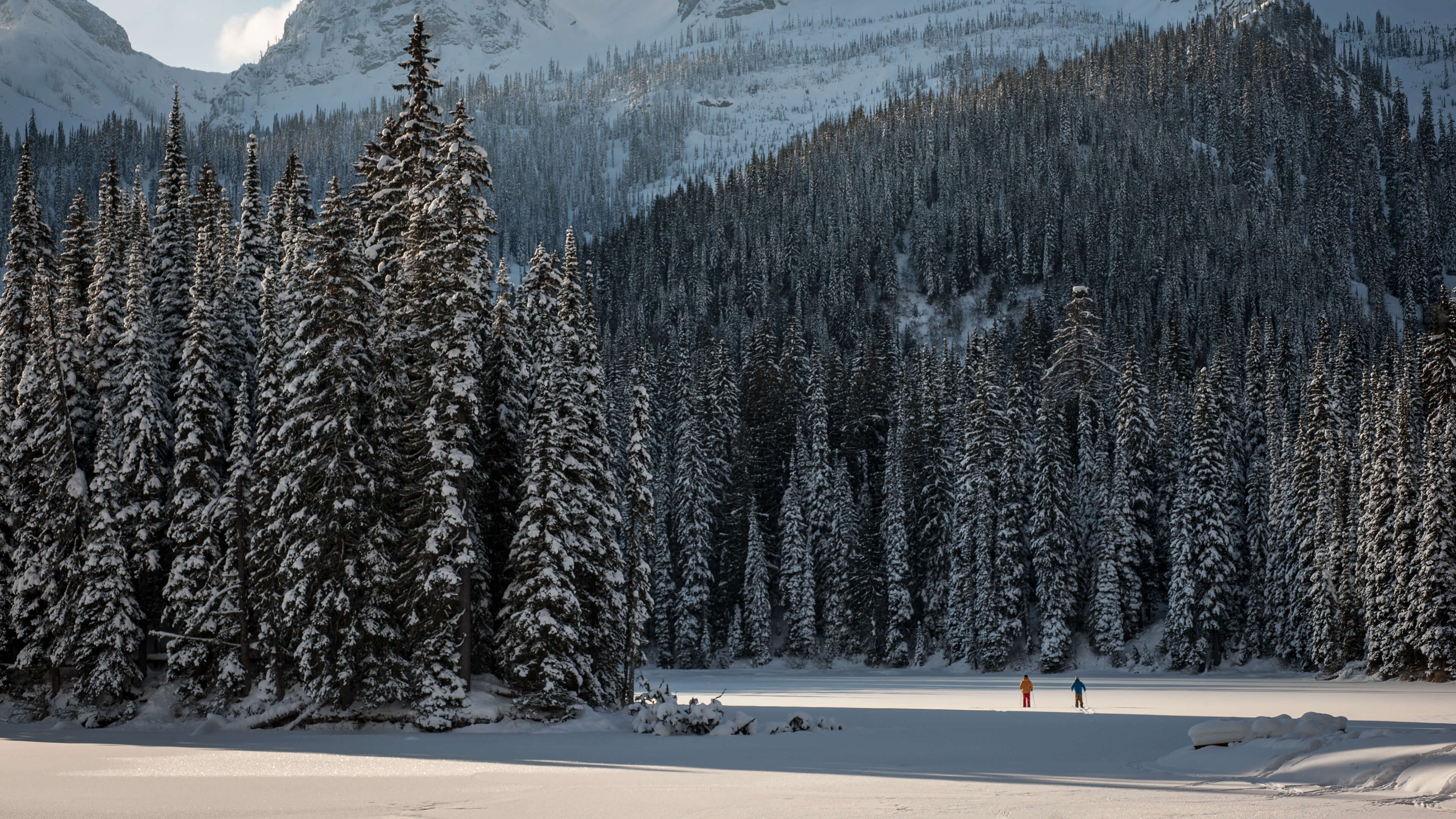 Winter Activities in BC Canada