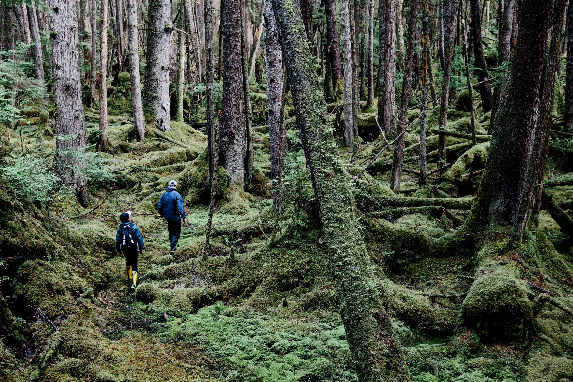 Hiking in BC Canada