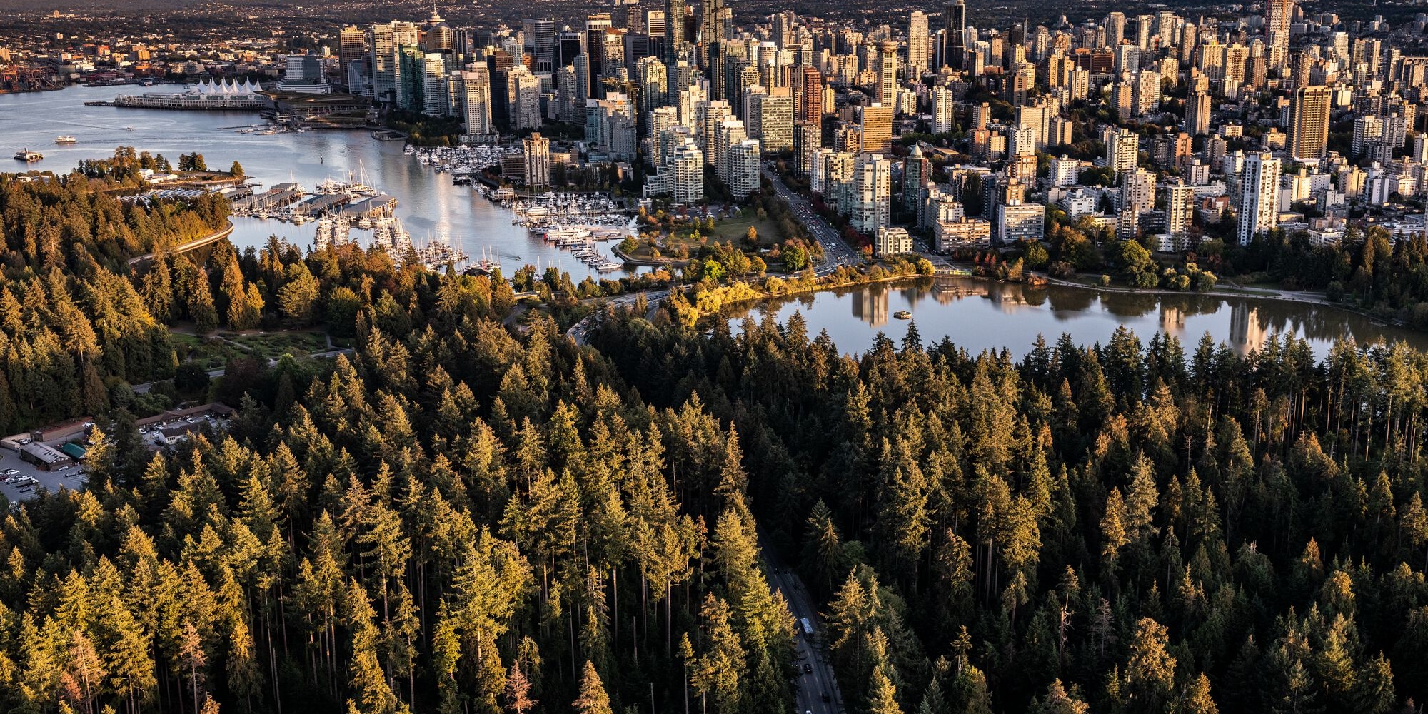 Aerial photo of Vancouver with the forest of Stanley Park in the foreground and the highrises of downtown Vancouver behind.