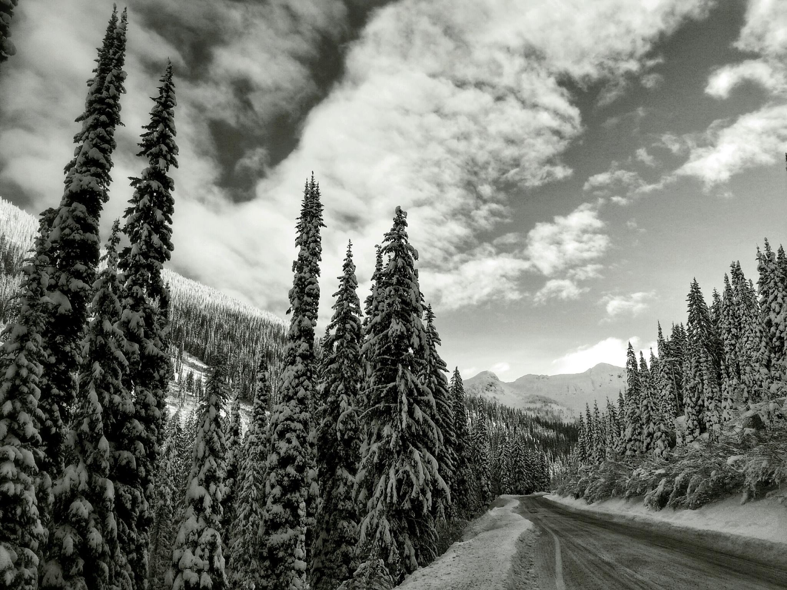 Powder Highway leads to Whitewater Ski Resort in Nelson. Photo: Gina Bégin