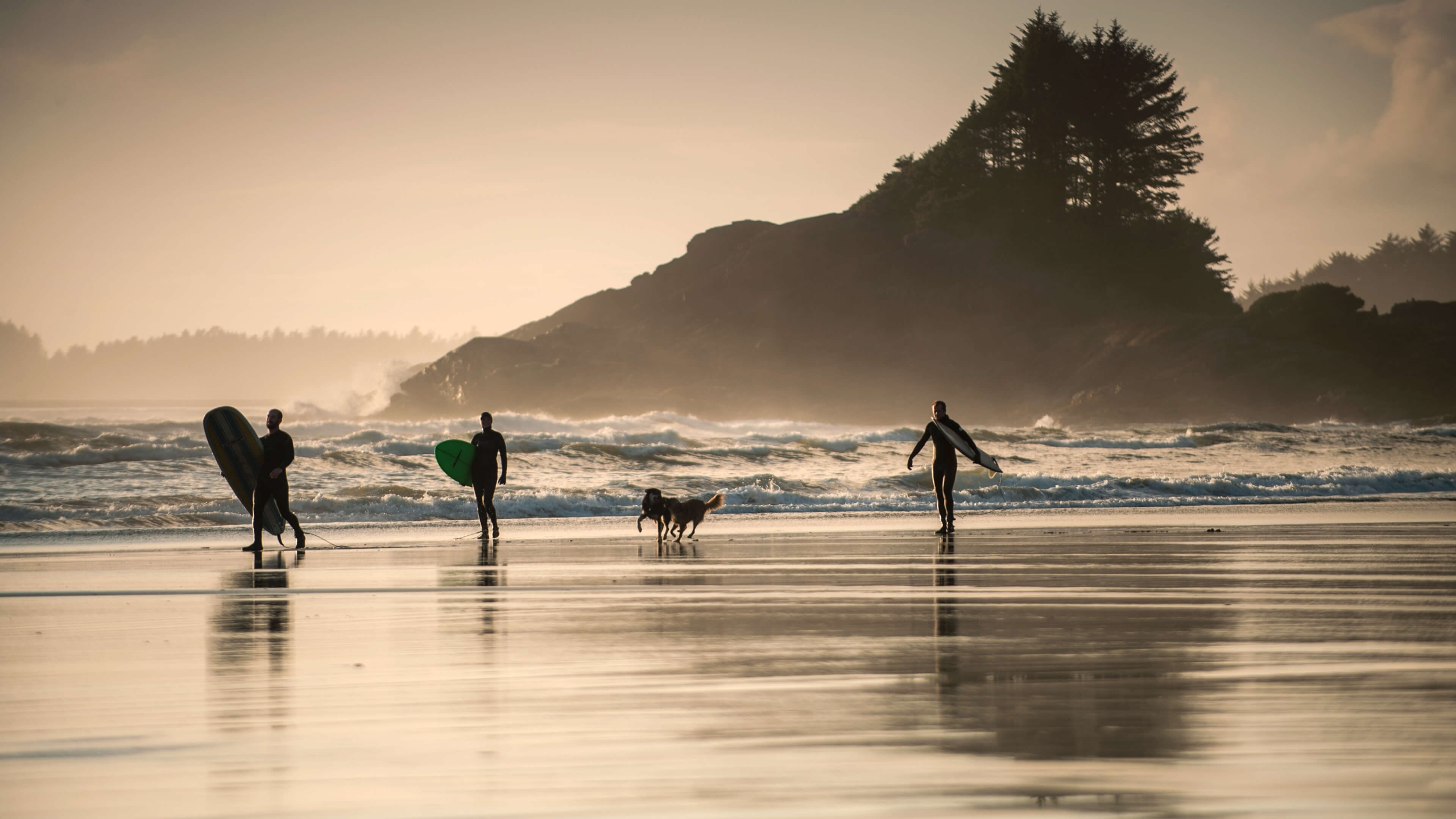 Surfers at Cox Bay on Vancouver Island