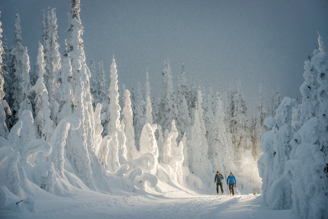 Cross-country skiing at SilverStar Mountain Resort in BC's Thompson Okanagan