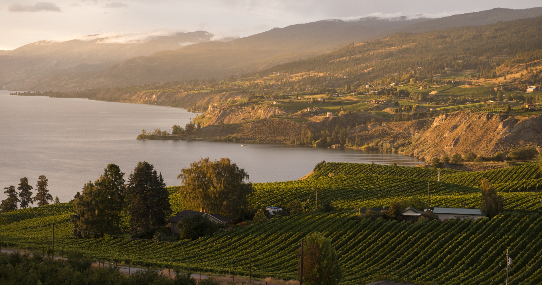 Okanagan Lake and Naramata | Kari Medig