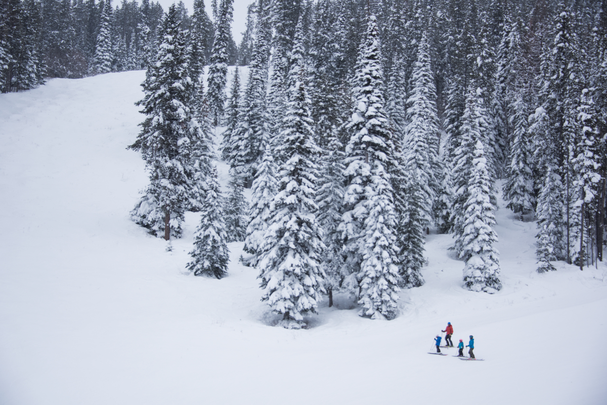 Kimberley Alpine Resort