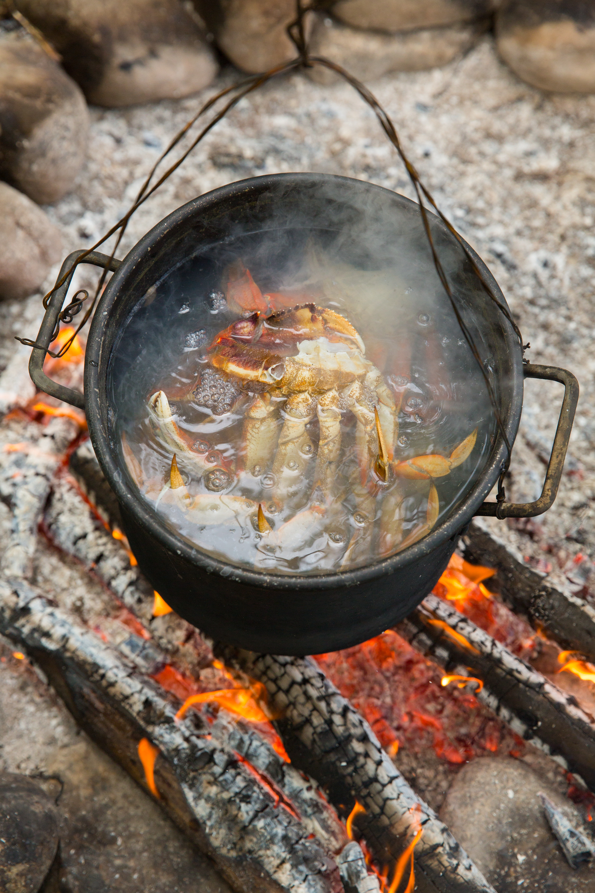 Cooking for a Fly Fishing Guided Group Tour Credit Destination BC/Jeremy Koreski