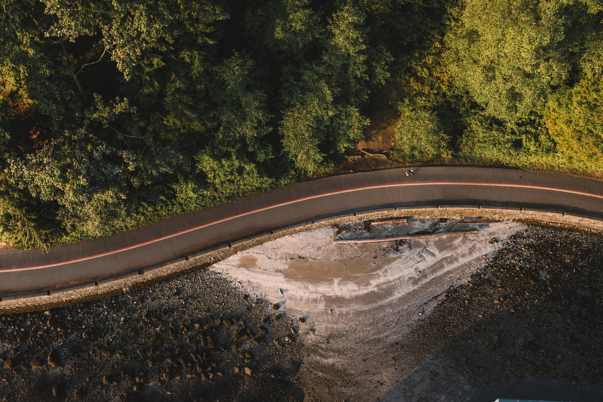 An aerial view of the Stanley Park Seawall in the summer. Trees on one side and a beach and rocky shoreline on the other.