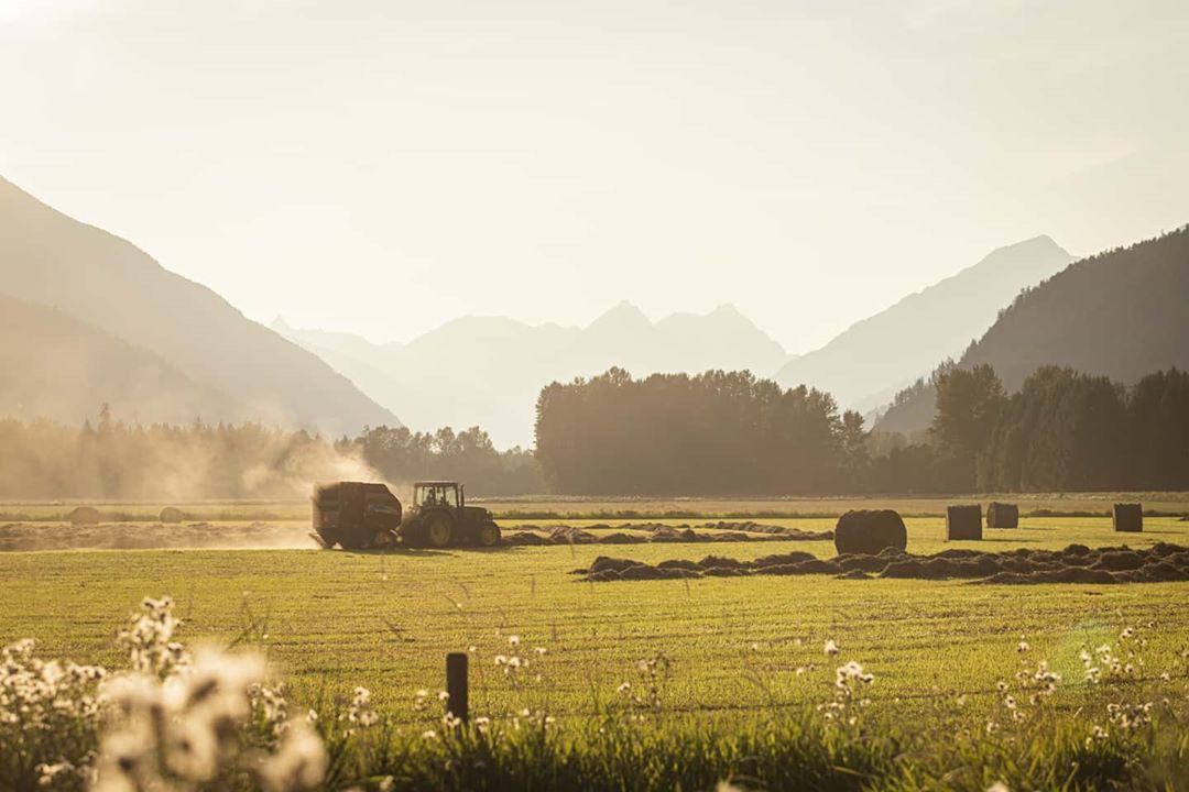 Pemberton | @markmackayphoto