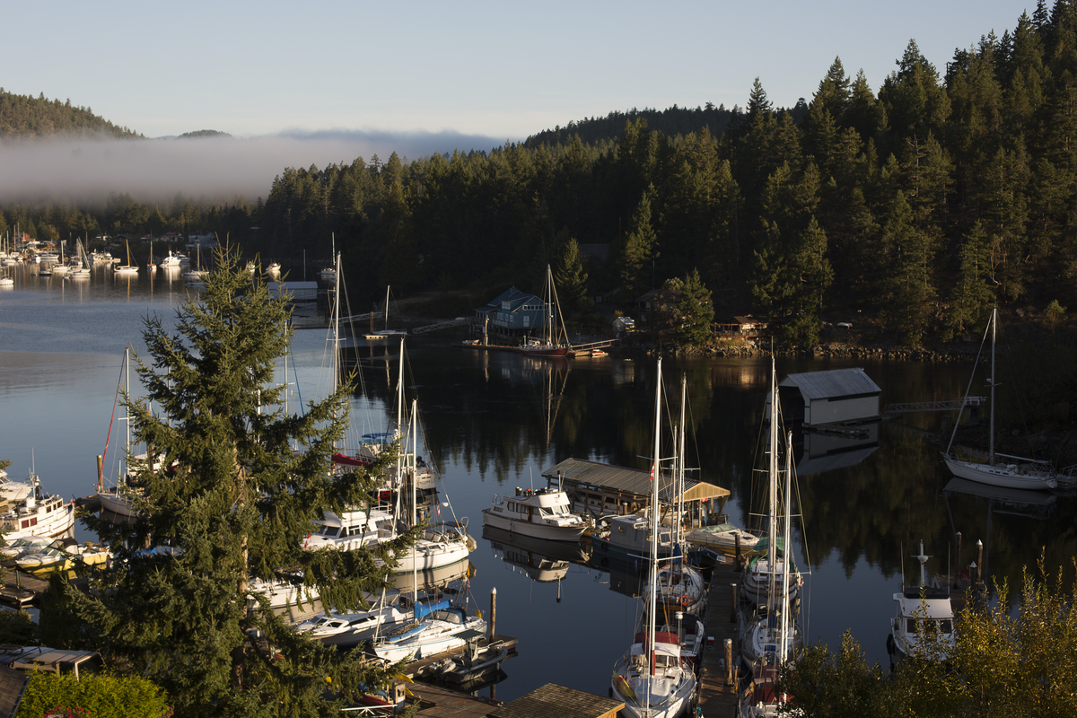 A serene marina nestled in a calm bay, filled with sailboats and yachts gently anchored along wooden docks. The surrounding landscape is lush with evergreen trees, and a light mist hovers over the water in the distance, creating a tranquil and peaceful atmosphere.