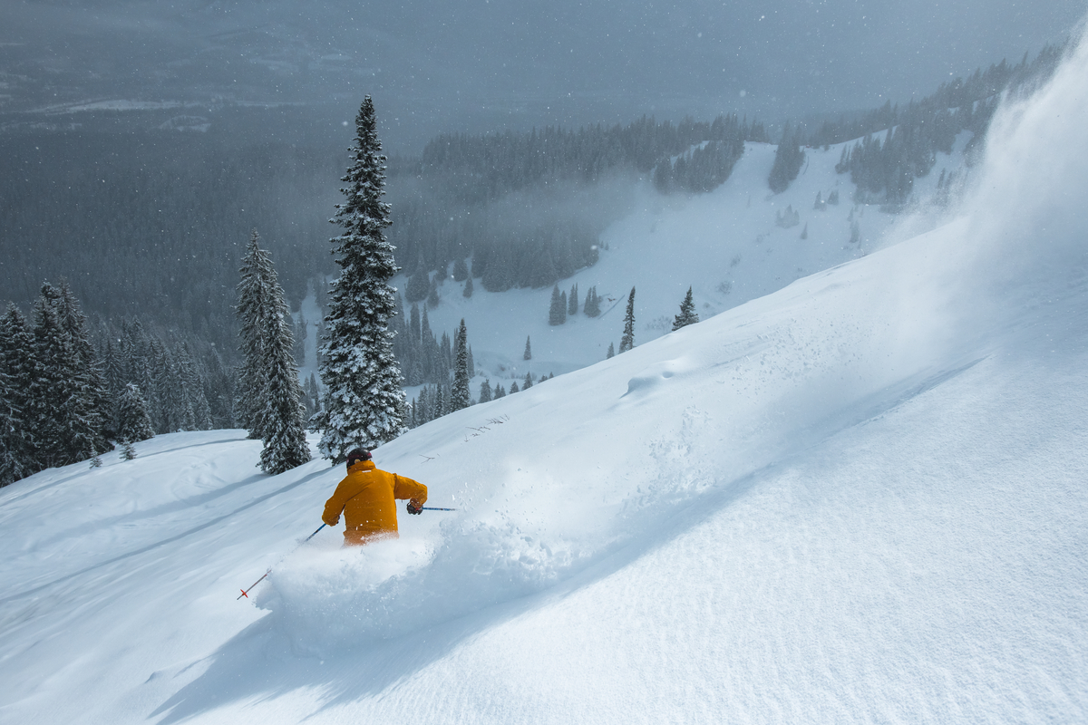 Fernie Alpine Resort