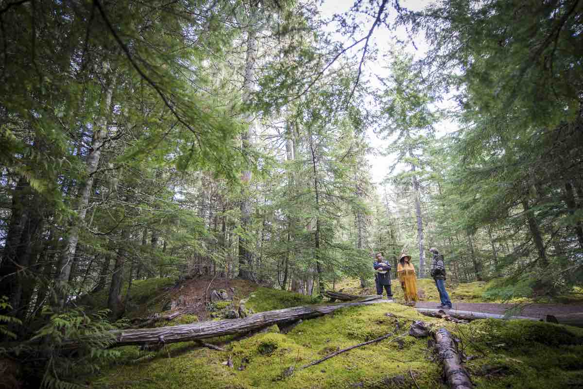 An Indigenous guide speaks to two visitors in the forest.