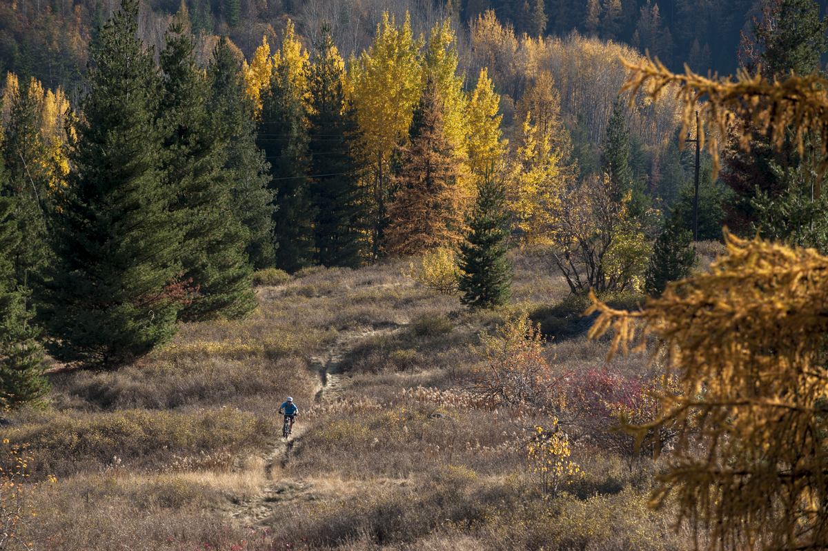 A person mountain bikes on a trail through a field in Rossland