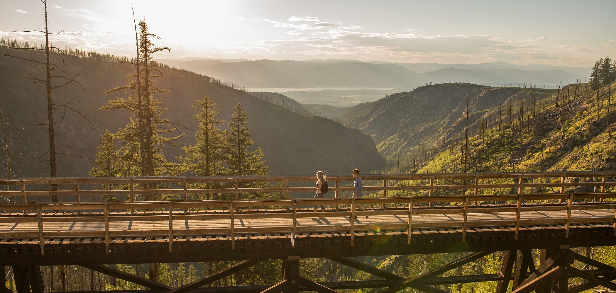 A tall trestle bridge 